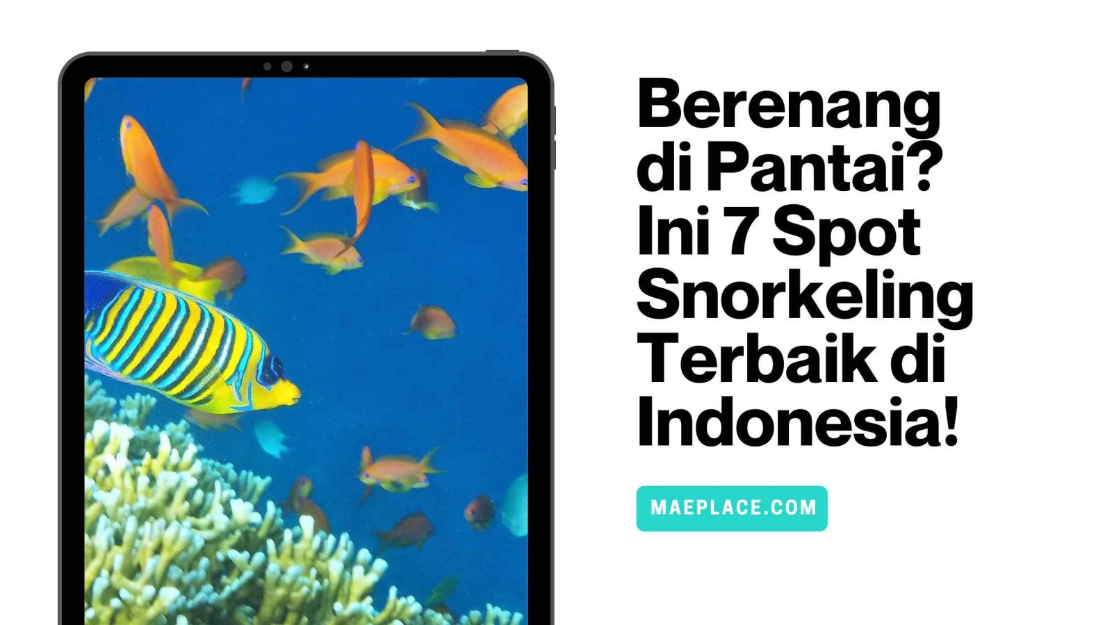 Spot Pinggiran: Rujukan Terbaik untuk Wisata & Hiburan di Cilacap